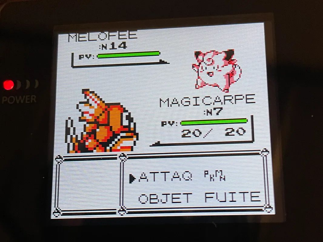 Magikarp - Feb 22, 2025